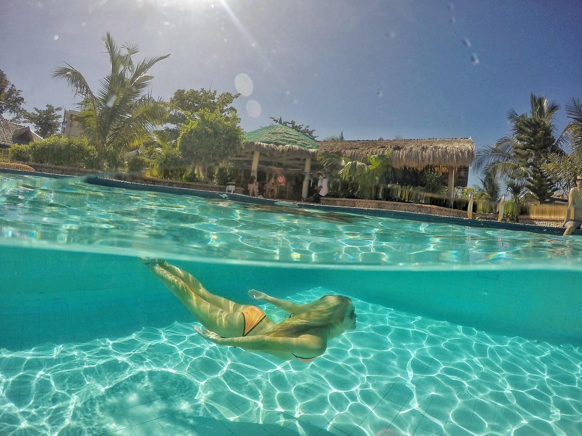 Thresher Cove Dive Resort Logon Dış mekan fotoğraf